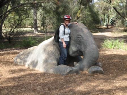 Liz with one of the friendly elephants