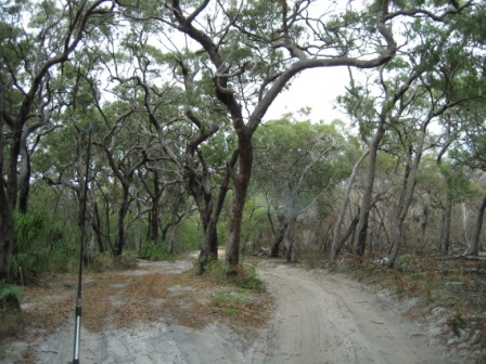 4 WD track in the Deep Creek National Park