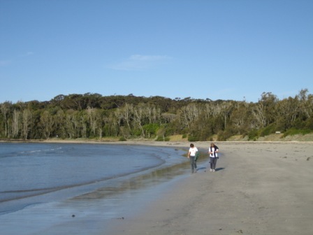 Broulee Island National Park